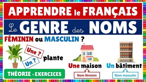 Le genre des noms Féminin ou masculin Français YouTube