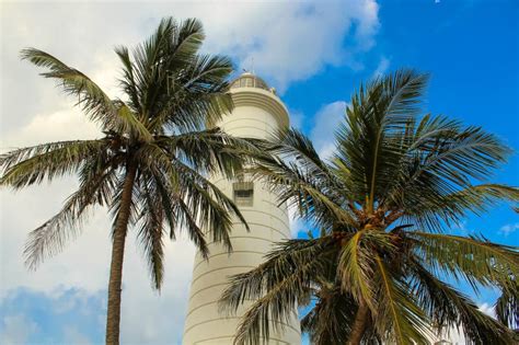 Lighthouse In Galle Fort Sri Lanka Indian Ocean Shore Palms Blue