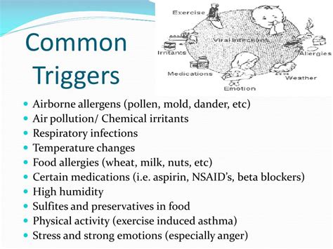 Ppt Asthma Powerpoint Presentation Free Download Id 6499510