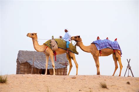 10 Best Things to Do in Dubai - What is Dubai Most Famous For? – Go Guides