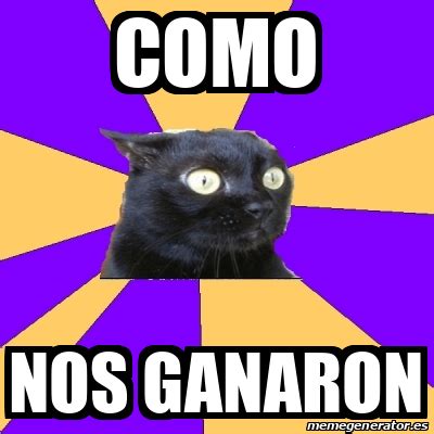 Meme Anxiety Cat Como Nos Ganaron