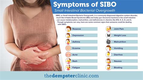 Is Sibo The Cause Of Your Gut Issues Top Ways To Tell The Dempster