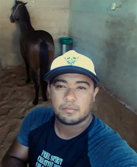 Tratorista de 29 anos morre após ser atacado por abelhas durante