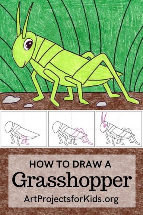 Easy How To Draw A Grasshopper Tutorial And Grasshopper Coloring Page