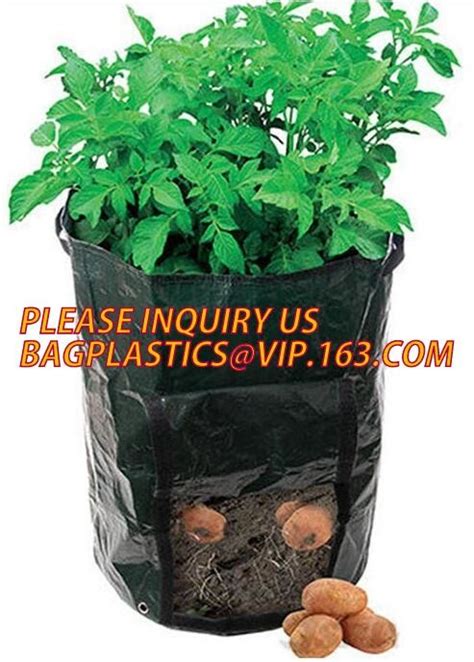 Gallon Plastic Nursery Bag For Growing And Seedling Polyethylene Black