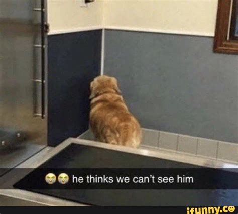 He Thinks We Can T See Him Ifunny Brazil