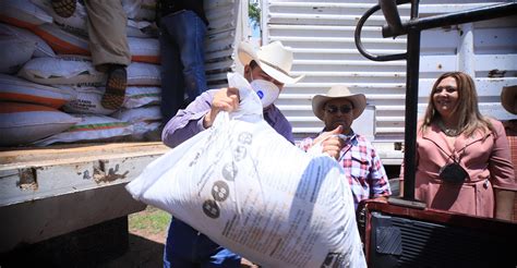 Entregan Sdayr Y Municipio Fertilizante A Productores De Tarimoro