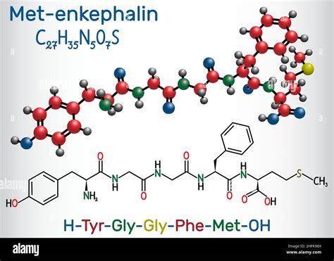 Mol Cula Receptora Im Genes Vectoriales De Stock Alamy