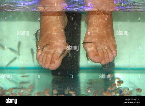 Young Woman Receiving Massage With Small Fishes Peeling With Fish