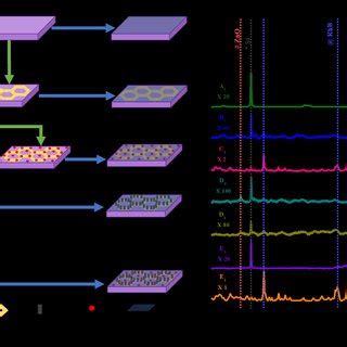 A Sers Spectra Of Rhb With Different Concentrations On The Substrate