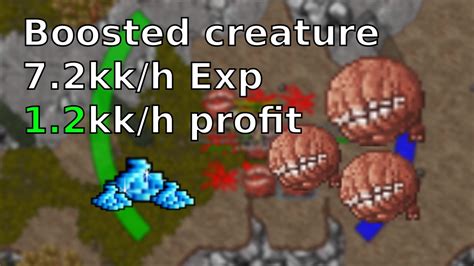 Elite Knight Hunting Lower Roshamuul Kk Profit And Kk Exp Per