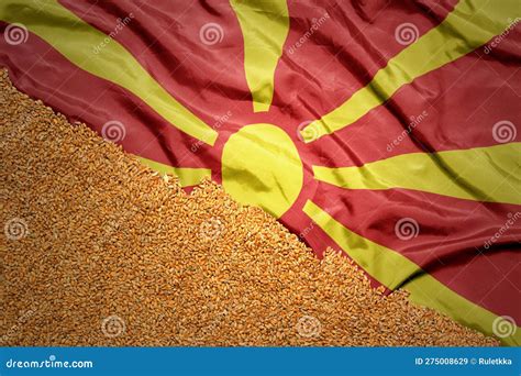 Wheat Grain On The Waving Colorful National Flag Of Macedonia Macro