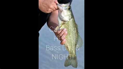 Catching Huge Bass In Waterford Ponds In The Day And Night Youtube