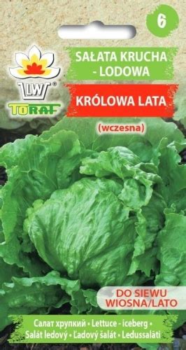 Sałata Królowa Lata Krucha Lodowa 1g TORAF sklep RajOgrodnika pl