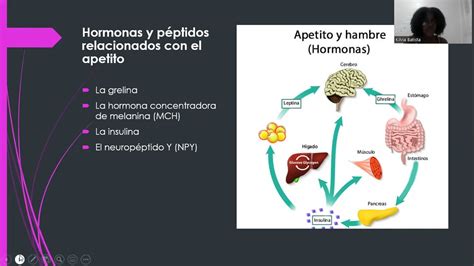 hormonas y péptidos relacionados con la regulación del apetito Kilvia