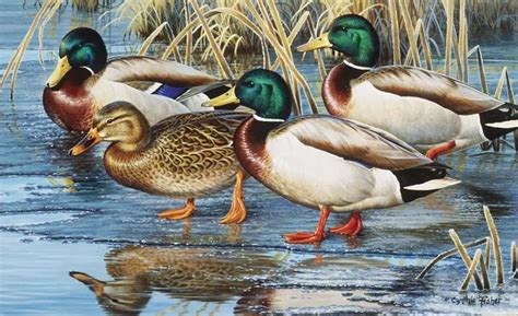 Early Ice Mallards Tilemurals Lithograph Mural Wildlife Art