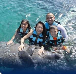 Dolphin Royal Swim Cozumel At Chankanaab National Park