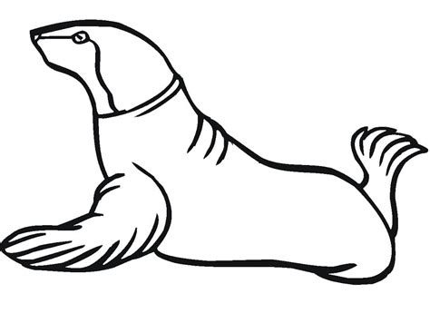 Sea Lion Coloring Pages Free Printable Coloring Pages For Kids