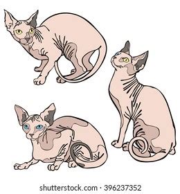 Cute Cats Hairless Naked Cats Sphynx Stock Vector Royalty Free