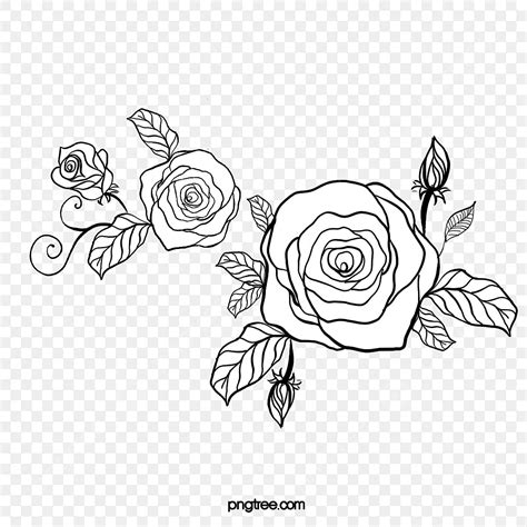 Rosa PNG Rosa PNG Clipart Preto E Branco Rosa PNG Preto E Branco