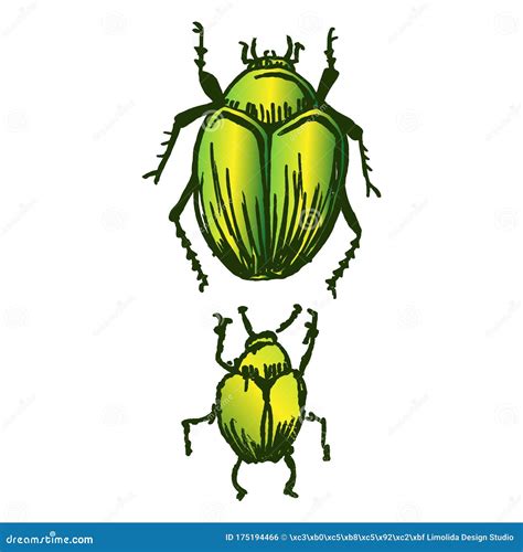 Minibeast Clipart Pictures Of Dogs