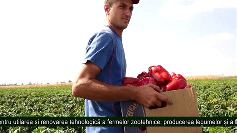 AGRO TV News Tinerii și femeile fermieri pot solicita subvenții în