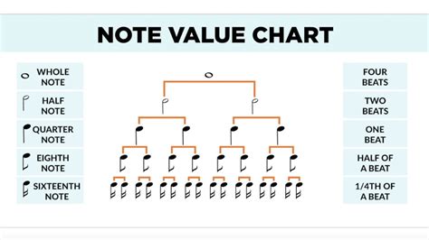 Music Theory Fundamentals 3 Note Time Values Youtube