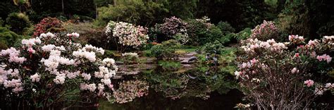 Lily Pond In A Garden, Oriental Garden Photograph by Panoramic Images - Fine Art America