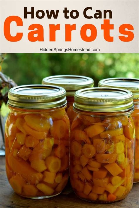 Learn How To Can Carrots Recipe Canned Carrots Canning Canning