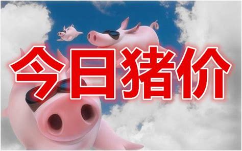 今日豬價：1129今日最新豬價行情如何？今日生豬毛豬價格一覽表 每日頭條