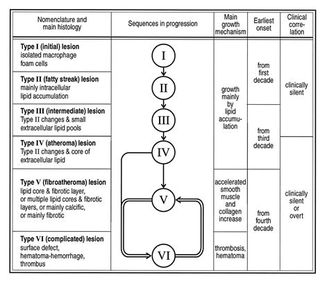 A Definition Of Advanced Types Of Atherosclerotic Lesions And A