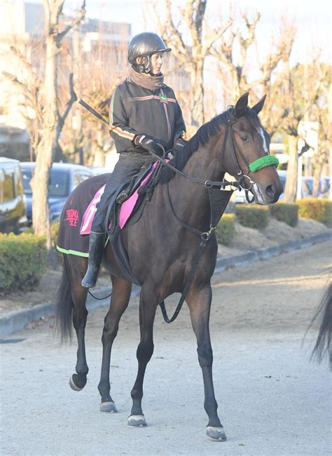 【新馬戦】デアリングエア 偉大な姉の背中追う 無敗の3冠牝馬デアリングタクトに「結構似ている」（デイリースポーツ） Yahooニュース