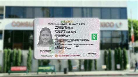 Precio De Matricula Consular Mexicana Matti Melesa