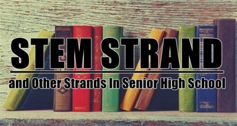 Stem Strand And Other Strands In Senior High School You Should Know