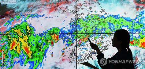 밤사이 전국 폭우서울 수요일까지 최대 120㎜ 이상 비 나무뉴스