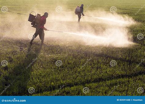 Workers Spraying Herbicides Editorial Stock Photo Image Of People