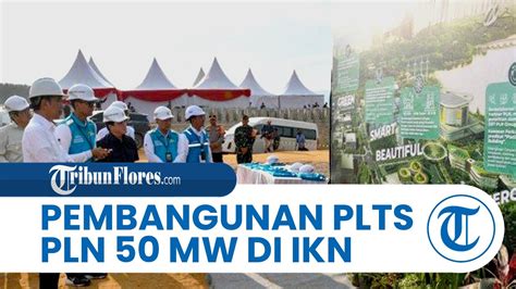 Jokowi Groundbreaking Pembangunan PLTS PLN 50 MW Di IKN Nusantara