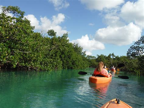 DIE TOP 10 Sehenswürdigkeiten in Grand Bahama Island 2022 (mit fotos