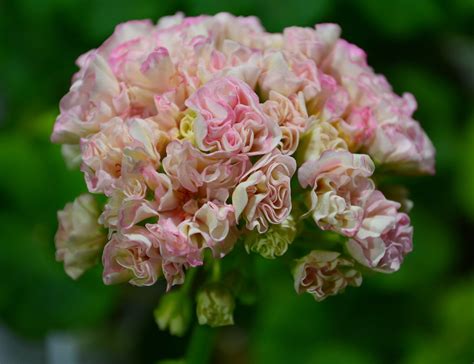 Волна Хамелеон/Volna Hameleon | Svetlana Bahmet | Flickr