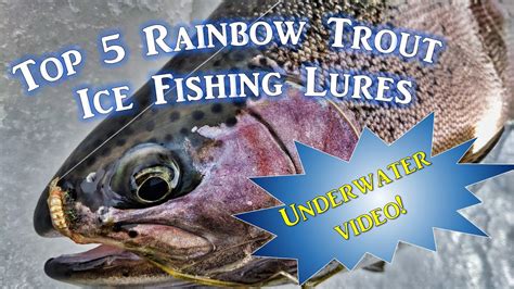 Top Ice Fishing Lures For Rainbow Trout Underwater Video Youtube