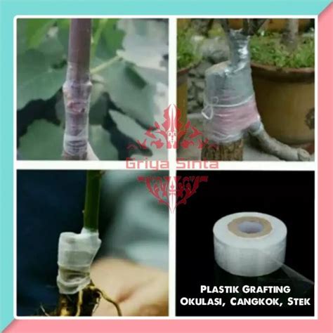 Jual Plastik Grafting Ovulasi Cangkok Stek Pada Batang Tanaman Shopee