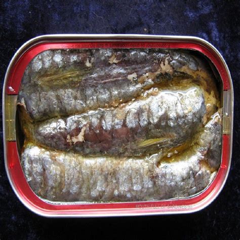 Buy Wholesale Thailand Canned Mackerel Tin Fish 425g And Canned Mackerel