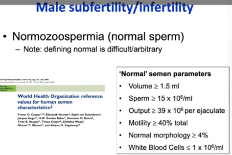 Week 4 Reproductive Endocrinology 1 Male Part 2 Flashcards Quizlet