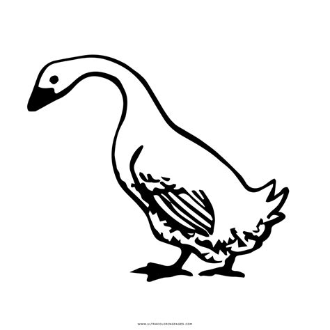 Goose clipart charlotte's web, Goose charlotte's web Transparent FREE for download on ...