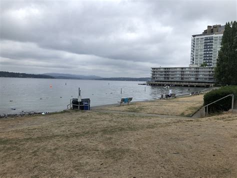 Madison Park Beach Swim Guide