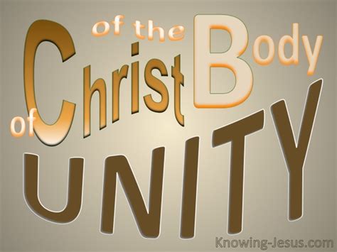 Unity Of The Body Of Christ (pink) Ephesians 4-12