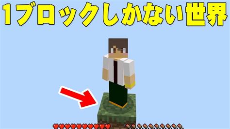 1ブロックしかないマインクラフトがめちゃくちゃヤバくて楽しすぎた！part1【セゴのマインクラフト元祖ワンブロックチャレンジマイクラ