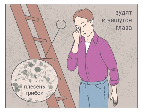Аллергия: всё о заболевании, лечении и препаратах