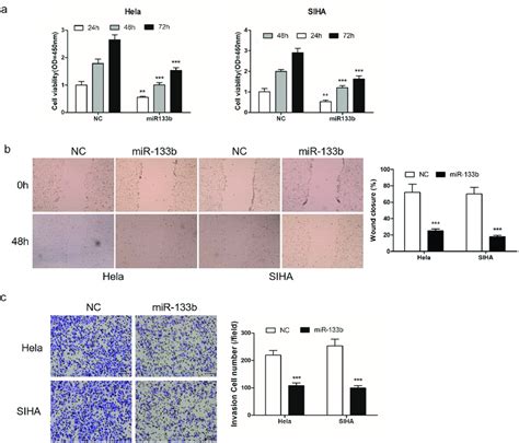 Mir 133b Overexpressed Inhibited Cc Cell Proliferation Cell Migration