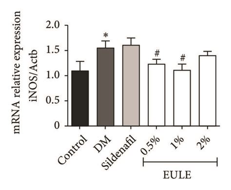 EULE Restored ENOS And NNOS Protein Expression In Diabetic Rats A